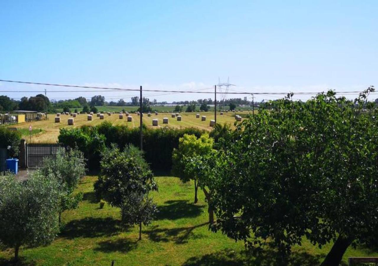 Eco House San Michele Hostel Borgo San Michele  Εξωτερικό φωτογραφία